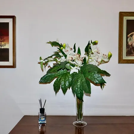 Casa Lux Mundi Ostello
